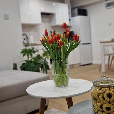 Apartament Na Skalkach Еленя-Гура Экстерьер фото
