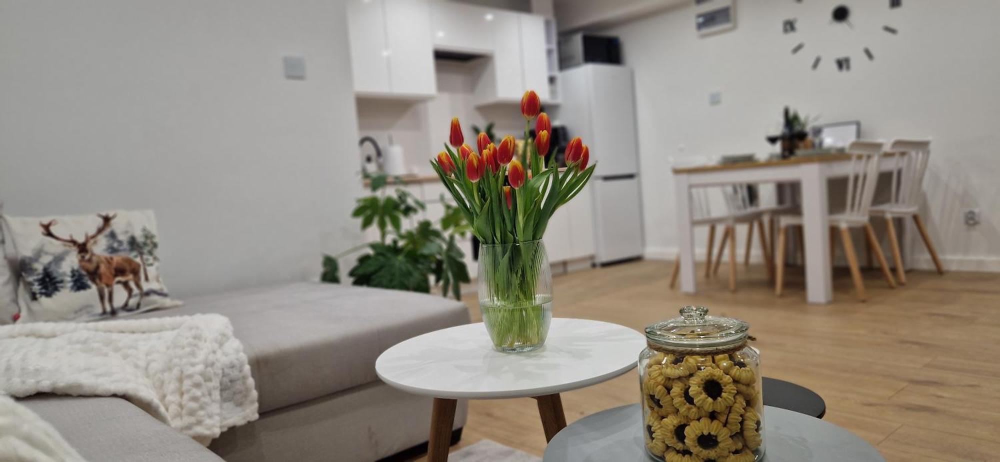 Apartament Na Skalkach Еленя-Гура Экстерьер фото